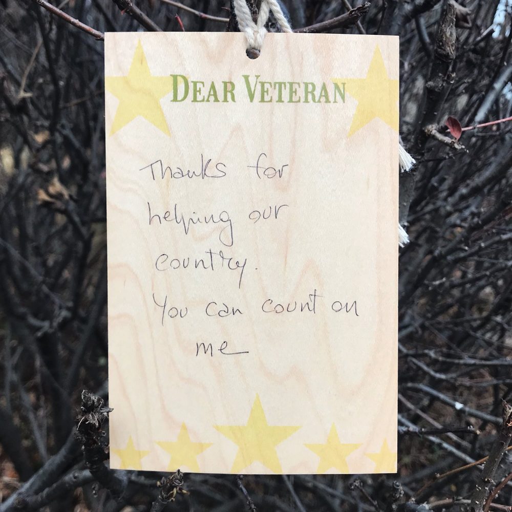 Dear Veteran - Katinka Hooyer