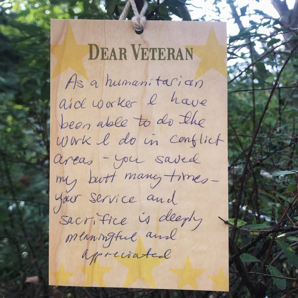 Dear Veteran - Katinka Hooyer